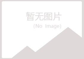 池州冰夏采矿有限公司